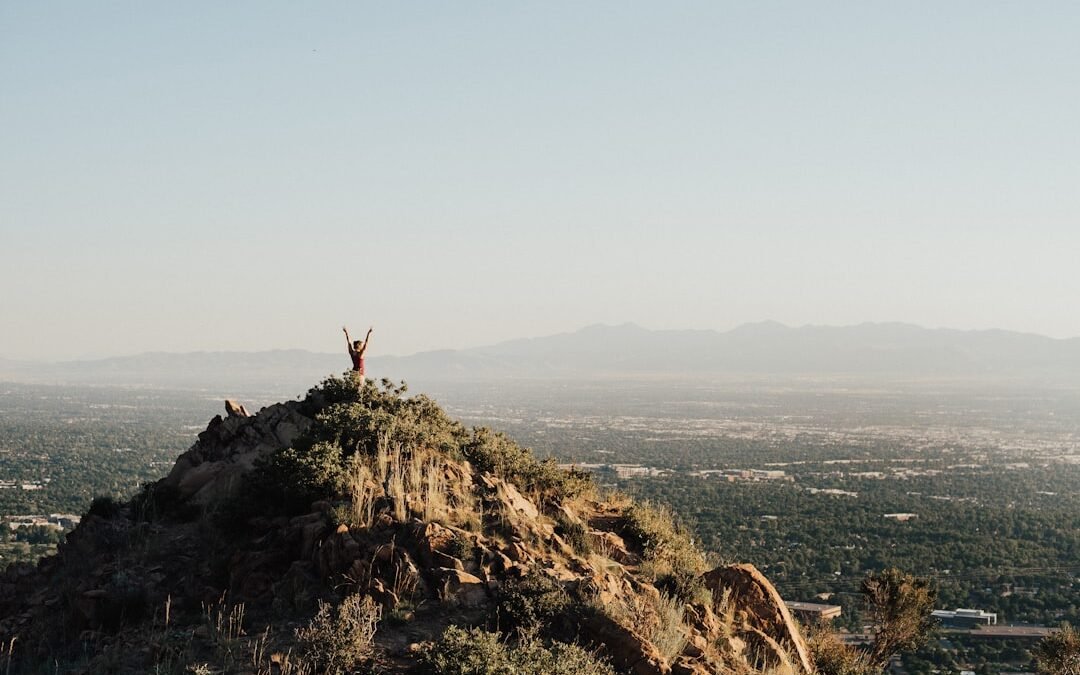 Top Insurance Companies in India Offering Comprehensive Coverage