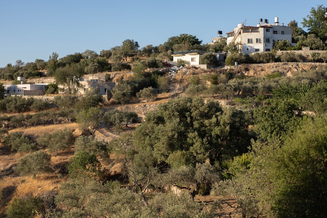 Photo Claim Settlement